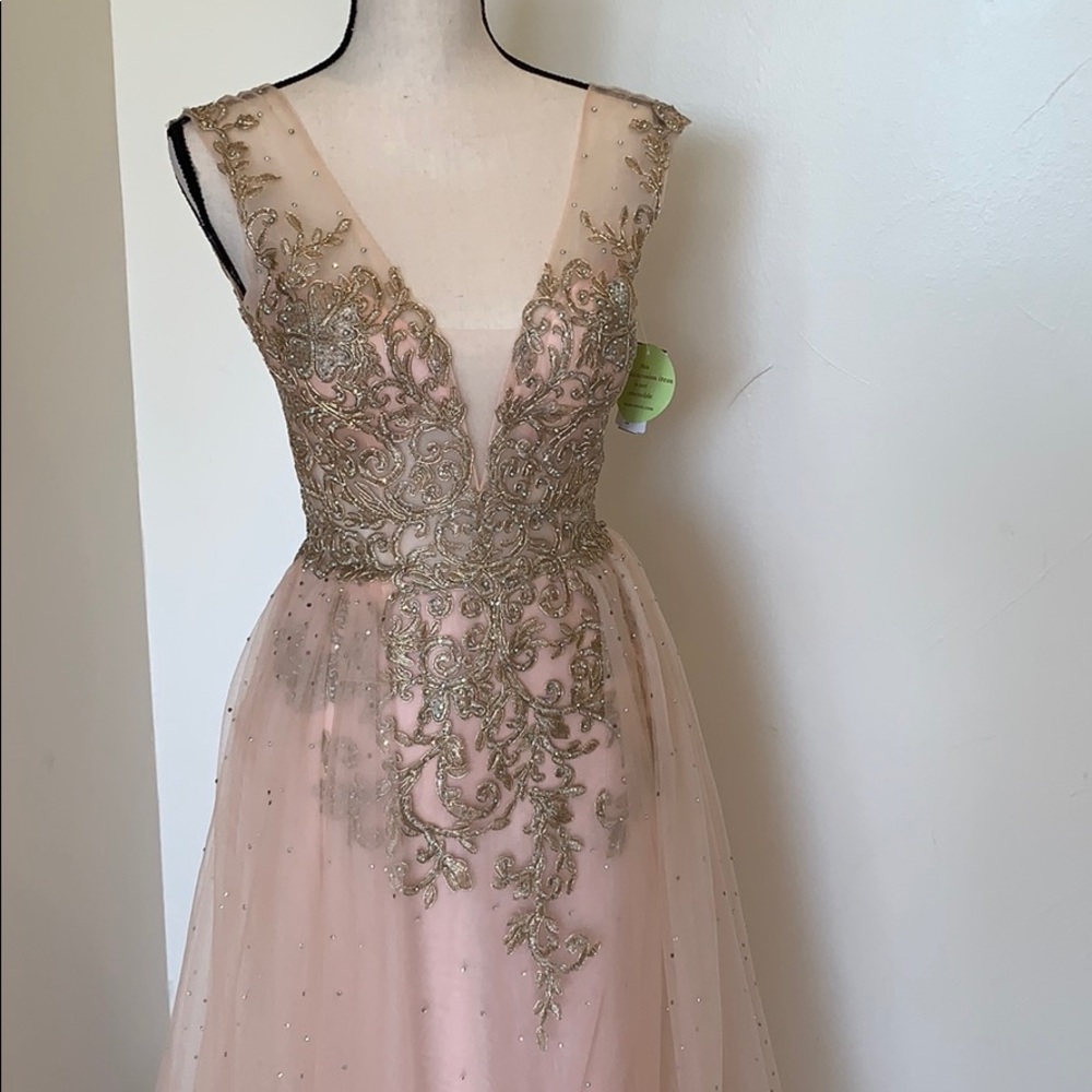 Sheer top Embroidered Blush Pink Prom Formal Gown